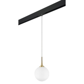Комплект с трековым светильником Lightstar Globo (813032+595007) PRO813032