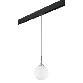 Комплект с трековым светильником Lightstar Globo (813033+595007) PRO813033
