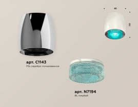 Комплект накладного светильника Ambrella light Techno Spot XS1143011 PSL/BL серебро полированное/голубой (C1143, N7194)