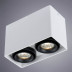 Потолочный светильник Arte Lamp A5655PL-2WH