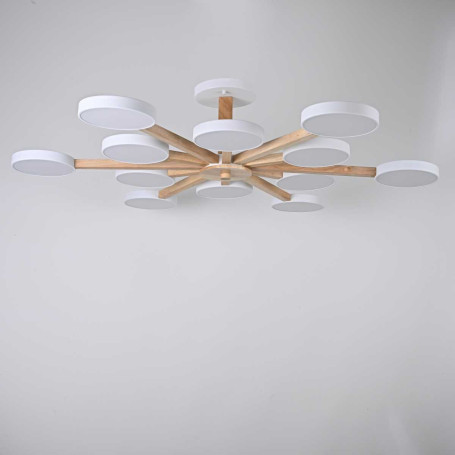 Потолочный светильник Imperium Loft TURNA-B01 228851-26