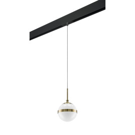Комплект с трековым светильником Lightstar Globo (813111+595007) PRO813111