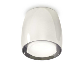 Комплект накладного светильника Ambrella light Techno Spot XS1143020 PSL/FR серебро полированное/белы матовый (C1143, N7165)
