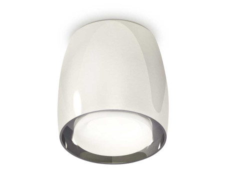 Комплект накладного светильника Ambrella light Techno Spot XS1143020 PSL/FR серебро полированное/белы матовый (C1143, N7165)