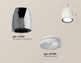 Комплект накладного светильника Ambrella light Techno Spot XS1143020 PSL/FR серебро полированное/белы матовый (C1143, N7165)
