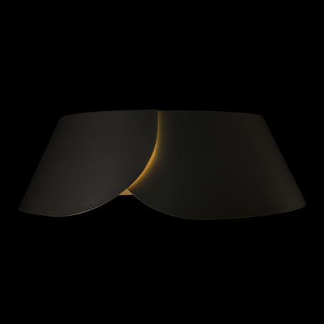 Потолочный светильник LOFT IT Lane 10370 Black