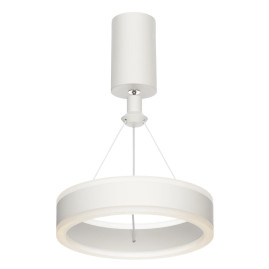 Подвесной светильник Citilux CL719010