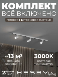 Накладная однофазная трековая система Hesby Lighting Skylite №3 со светильниками HSBL_kompl_S003_NI1W3K