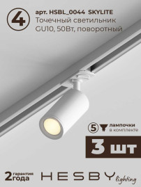 Накладная однофазная трековая система Hesby Lighting Skylite №3 со светильниками HSBL_kompl_S003_NI1W3K