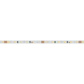 Светодиодная лента Arlight 9,6W/m 120LED/m 2216SMD холодный белый 5M 024410(2)