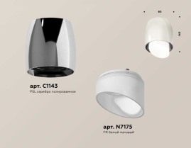 Комплект накладного светильника Ambrella light Techno Spot XS1143021 PSL/FR серебро полированное/белый матовый (C1143, N7175)