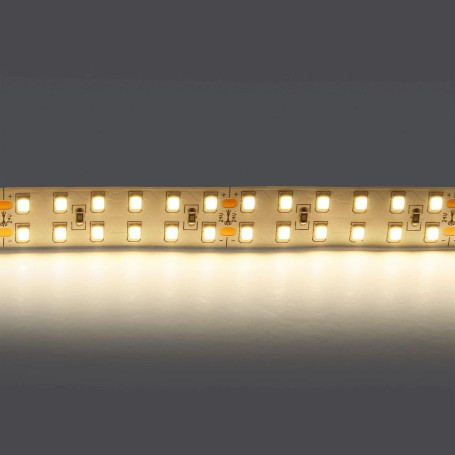 Светодиодная лента Lightstar 24W/m 240LED/m дневной белый 5M 421504