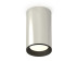 Комплект потолочного светильника Ambrella light Techno Spot XC (C6325, N6102) XS6325001