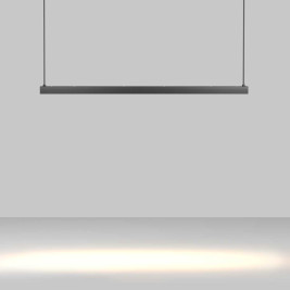 Трековый подвесной светильник Maytoni Technical TR170-1-26W3K-B