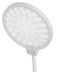 Настольная лампа ЭРА NLED-501-10W-W Б0059839