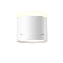 Потолочный светильник Maytoni Technical C120CL-GX53-W