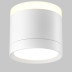 Потолочный светильник Maytoni Technical C120CL-GX53-W