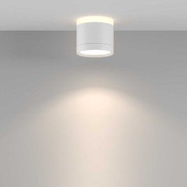 Потолочный светильник Maytoni Technical C120CL-GX53-W