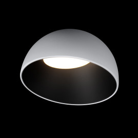 Потолочный светильник Loft it Egg 10197/350 WB