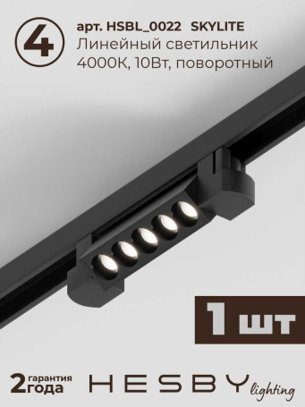 Встраиваемая однофазная трековая система Hesby Lighting Skylite №10 со светильниками HSBL_kompl_S010_VI2B4K
