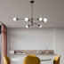 Подвесная люстра Imperium Loft Salme 151691-26