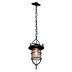 Подвесной светильник Loft IT Warehouse Loft1141