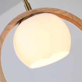 Подвесной светильник Arte Lamp Caprice A4182SP-1BR