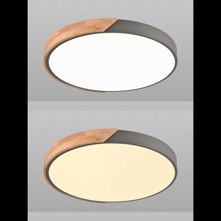 Потолочная люстра Natali Kovaltseva LED LAMPS 81183