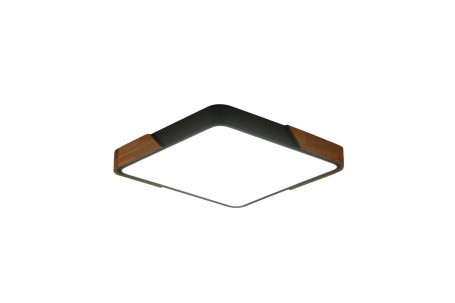 Потолочный светильник Zortes ALBERRO ZRS.01288.60