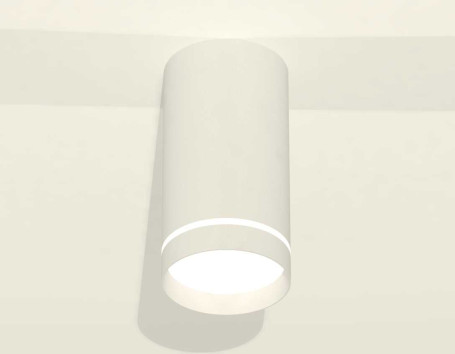 Комплект накладного светильника Ambrella light Techno Spot XS (C8161, N8461) XS8161006