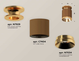 Комплект накладного светильника Ambrella light Techno Spot XS7404121 SCF/PYG кофе песок/золото желтое полированное (N7929, C7404, N7034)