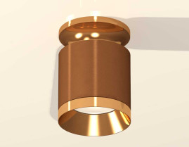 Комплект накладного светильника Ambrella light Techno Spot XS7404121 SCF/PYG кофе песок/золото желтое полированное (N7929, C7404, N7034)