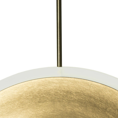 Подвесной светодиодный светильник Loft IT Ruedo 10035/300