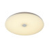 Потолочный светодиодный светильник Sonex Vasta led Roki muzcolor 4629/DL