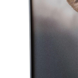 Картина Lumina Deco FP Elephant 80-120