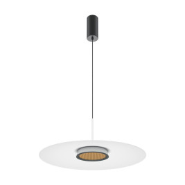 Подвесной светодиодный светильник Maytoni El MOD041PL-L15W3K1