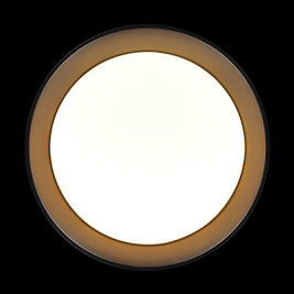 Потолочный светильник Loft it Coin 10202 BB