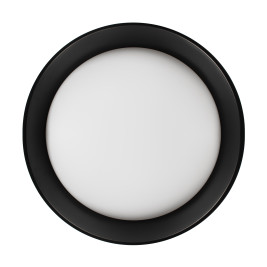 Потолочный светильник Loft it Coin 10202 BB