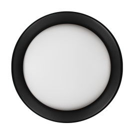Потолочный светильник Loft it Coin 10202 BB