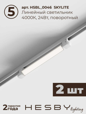 Встраиваемая однофазная трековая система Hesby Lighting Skylite №10 со светильниками HSBL_kompl_S010_VI2W4K