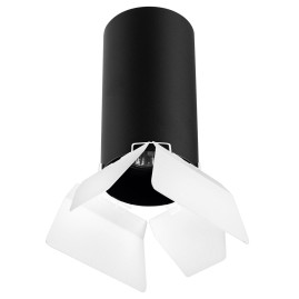 Комплект с потолочным светильником Lightstar Rullo (216487+202486) R6487486