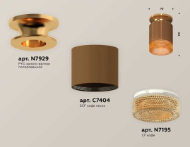 Комплект накладного светильника Ambrella light Techno Spot XS7404122 SCF/PYG/CF кофе песок/золото желтое полированное/кофе (N7929, C7404, N7195)