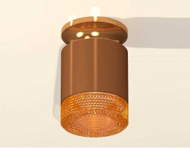 Комплект накладного светильника Ambrella light Techno Spot XS7404122 SCF/PYG/CF кофе песок/золото желтое полированное/кофе (N7929, C7404, N7195)