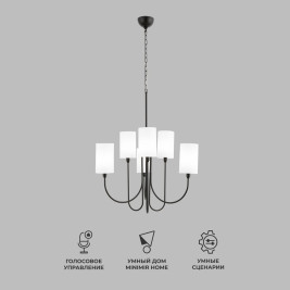 Подвесная люстра Eurosvet Abbey 60164/6 черный Smart