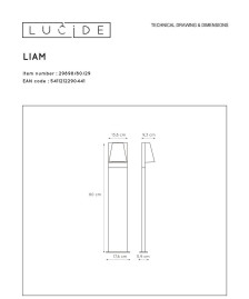 Уличный светильник Lucide Liam 29898/80/29