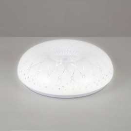 Настенно-потолочный светильник Camelion LBS-6203 14303