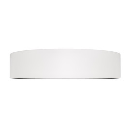 Потолочный светильник Loft it Coin 10202 WB