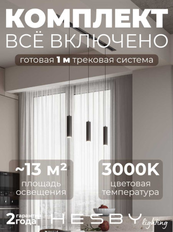 Встраиваемая однофазная трековая система Hesby Lighting Skylite №12 со светильниками HSBL_kompl_S012_VI1B3K