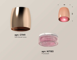 Комплект накладного светильника Ambrella light Techno Spot XS1144011 PPG/PI золото розовое полированное/розовый (C1144, N7193)