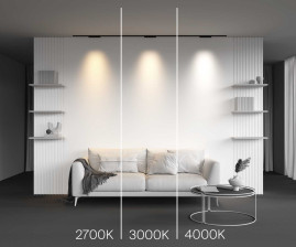 Трековый светильник Maytoni Technical Points TR193-1-10W4K-M-B